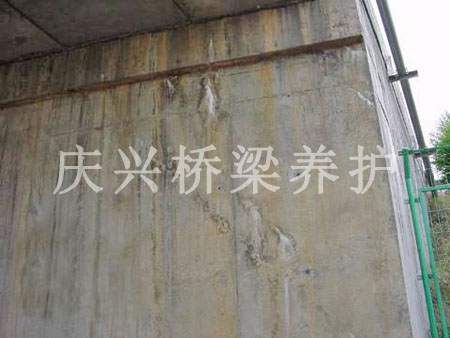 ����ѿp���a(b��)